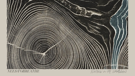 Needtobreathe_Album_Cover_main_ba59e.jpg