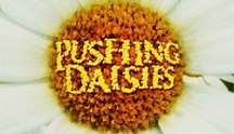 Pushing Daisies (Criando malvas)